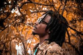 HD wallpaper: man standing surrounded by trees, male, braid, forest,  woodland