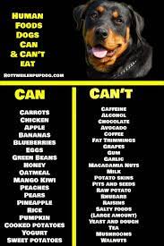 Healthy Diet For Your Rottweiler Dog Raw Diet Raw Feeding For Dogs Raw Dog Food Recipes
