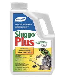 Generally you may see hundreds or thousands of them emerge when you attempt to do some gardening and begin to disturb the soil. How To Get Rid Of Pill Bugs Growing Spaces Greenhouses