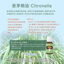 pin on young living
