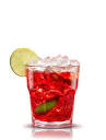 Drinks Cocktails with Campari - Absolut Drinks