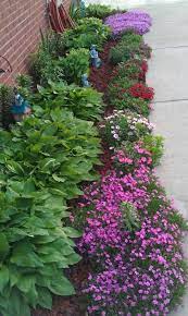 We did not find results for: Hostas Dianthus Creeping Phlox Lillies Iris Small Backyard Landscaping Front Yard Landscaping Design Lake Front Landscaping Ideas