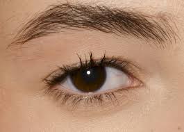 It fits perfect on my asian eyes. The Most Flattering And Comfortable Way To Wear False Lashes For Asian Eyes Her World Singapore