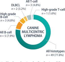 Figure 1 From Conformity And Controversies In The Diagnosis