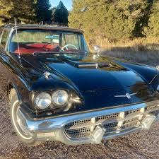 Image result for Skymist Blue 1960 Thunderbird