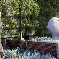 We did not find results for: San Francisco Ca Lump Headed Creatures