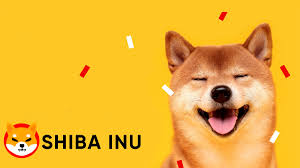 Shib, which saw astounding rises and falls in the second half of this. Shiba Coin Will Shiba Inu Token Makes Its Way To Coinbase