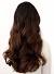 Brown Caramel Chestnut Hair Color
