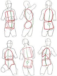 Über 7 millionen englischsprachige bücher. Shapes Of Anatomy In 2021 Human Anatomy Art Human Body Drawing Figure Drawing Tutorial