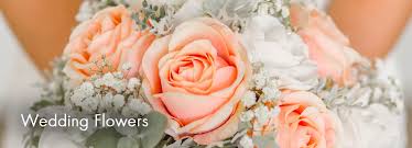 Check spelling or type a new query. Home Co Mayo Ballina 00353 96 72134 Castlebar 00353 949025552 Flower Delivery Throughout Ireland
