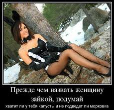 images?q=tbn:ANd9GcSrv363C1EWHpRbGwzbIVFOEiceOg1czycO_ttcEliODPj-CafEnQ