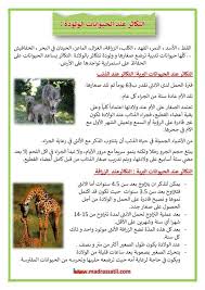 التكاثر عند الحيوانات الولودة التكاثر بالولادة عند الحيوانات مثال الذئب و الزرافة و القطة موقع مدرستي