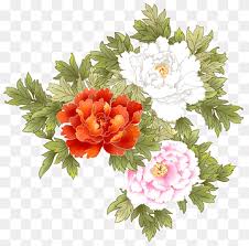 We did not find results for: White Peony Png Images Pngwing