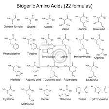 Biogene amine, decarboxylierungsprodukte von aminosäuren (tab.). Zweiundzwanzig Biogenen Aminosauren Chemische Formeln Wandsticker Peptid Aminosaure Amino Myloview De