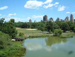 Believe it or not, you can fish in central park in a number of places. Central Park Fishing Nyc Parks