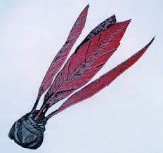 Selain itu bulu dapat mencerminkan kepribadian ayam, baik itu kelebihan dan keistimewaan ayam. Sepak Bulu Ayam Cerita Aku Dennis Zill