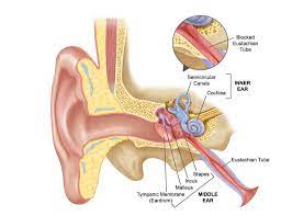 Clogged Ears Stopped Up Ear 7 Instant Ways To Unclog Fix Clogged Ears Ear Unclog