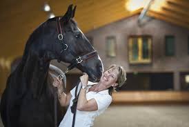 Ik kreeg salinero als zesjarige op stal, hij was eigenlijk bedoeld voor een amerikaanse klant. Salinero Anky S Horses