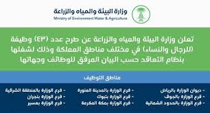 وزارة البيئة توظيف