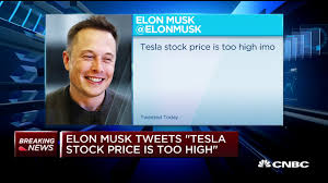 National anthem and that he would sell almost all his physical possessions. Tesla Ceo Elon Musk Says Stock Price Is Too High Shares Fall