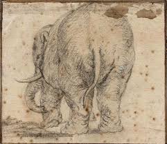 On Rembrandt And Elephant Buttocks From Life Museum Het Rembrandthuis