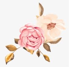 Christine and keith gold ribbon ceremony exit. Umbrella Pink Umbrellas Flower Pink Glamour Gold Rose Gold Flower Png Transparent Png Transparent Png Image Pngitem