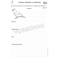 Das gleiche gilt im klassenraum, dort können lerngruppen aller altersstufen auf eine spannende entdeckungsreise in den nationalpark gehen. Nordsee Werkstatt Fur Die Grundschule