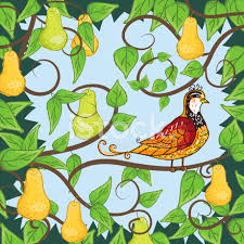 Image result for partridge in a pear tree