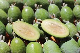 Maybe you would like to learn more about one of these? 77 Weird Exotic Fruits You Didn T Know Existed