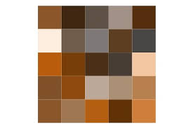 The page contains orange and similar colors including their accompanying hex and rgb codes. Brown Paint Colors The Home Depot