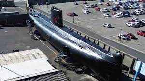 Image result for Thesium ussanguense