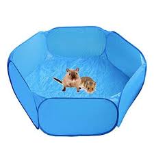 Maybe you would like to learn more about one of these? Heppurg Guinea Pig Playpen Indoor Run Pen Hamster Playpen Small Animal Play Pen Pet Pop Up Playpen Exercise Yard Fence Portable C C Cage Tent Cage On Onbuy