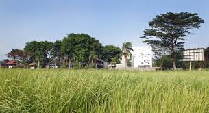 Young volcanoes by fallout boy. Sekolah Bogor Raya Indra Tata Adilaras Archdaily