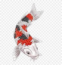Just like other tattoos, the designs do not discriminate against a certain gender. Koi Tattoo Design By Gaikotsu91 On Deviantart Koi Carp Tattoo Free Transparent Png Clipart Images Download
