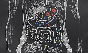 Leaky Gut Syndrom Naturlich Behandeln