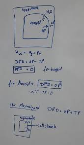 Check spelling or type a new query. 2 In A Fully Turgid Cell What Will Be Zero B Opd Water Potentiala Wpc Tp Brainly In