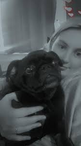 Hi we are new this my boy Norman