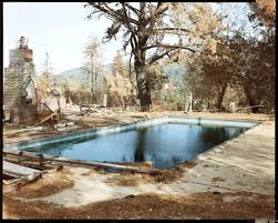 Image result for Radiant Fire 1991 Shadow