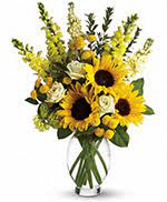 Check spelling or type a new query. Florist Flower Shops In Traverse City Michigan Mi Same Day Delivery By A Local Florist In Traverse City