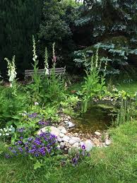 A Small Backyard Pond As A Water Feature Great Idea For Wildlife Garden And Tra Beau Small Water Gardens Ponds For Small Gardens Water Features In The Garden