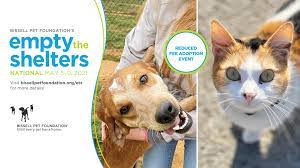 Yes i am looking for a free puppies in indianapolis indiana 46241 i have been looking around. Greene County Indiana Humane Society Home Facebook