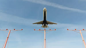 For more than 65 years, we've been committed to the welfare of all animals 19 and dallas/fort worth (dfw) until feb. Delta S Mad Dogs To Be Retired On June 2 Business Traveller