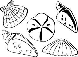 Printable snail shell coloring page. Shell Coloring Pages Sea Shells Printable Coloring4free Coloring4free Com