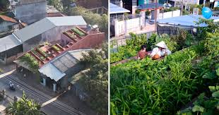 The lights work on this house too they turn on and off. Red Roof House Stepped Roof Garden Provides Produce For The Residents Gestufter Dachgarten Ermoglicht Frische Nahrungsmittel Und Kuhlt Das Haus Im Tropischen Vietnam