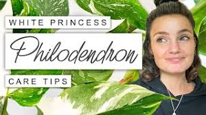 White Princess Philodendron Care TIPS + TRICKS 🌱 Philodendron White  Princess Survival Guide 💚