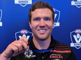 GFL Mathieson Medal predictor reveals top 10 and team leaders in count