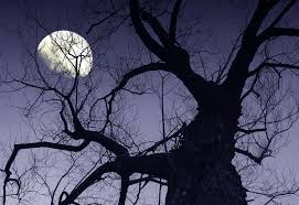 September 2025 zu sehen sein. Die Zwolf Grossten Vollmond Mythen Gesundheit Heute At