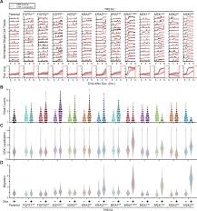Grizzled guy and a new queen astrid. Mapk Activity Dynamics Regulate Non Cell Autonomous Effects Of Oncogene Expression Elife