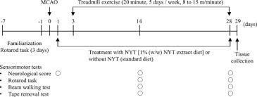 Image result for Erythrococca ulugurensis