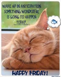 Maybe you would like to learn more about one of these? Dream It Wake Up Happy Good Great Day Wonderful Day Live It Accomplish It Make It Happen Pos Its Friday Quotes Good Morning Friday Happy Friday